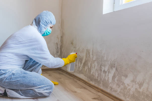 Mold Remediation specialist working in Lebanon